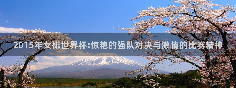 2026世界杯倒计时：2015年女排世界杯:惊艳的强队对决与激情的比赛精神