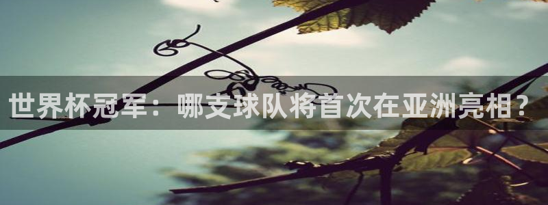 世界杯葡萄牙赛程：世界杯冠军：哪支球队将首次在亚洲亮相？
