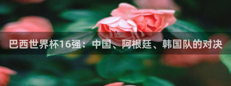 2026世预赛赛程表：巴西世界杯16强：中国、阿根廷、韩国队的对决