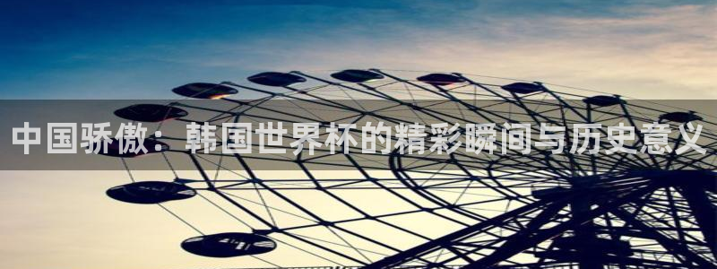 世界杯足球：中国骄傲：韩国世界杯的精彩瞬间与历史意义