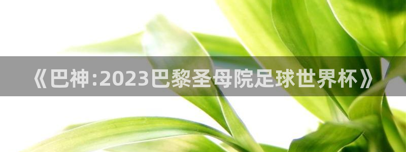 足球世界杯预选赛：《巴神:2023巴黎圣母院足球世界杯》