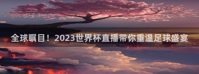 世界杯直播平台：全球瞩目！2023世界杯直播带你重温足球盛宴