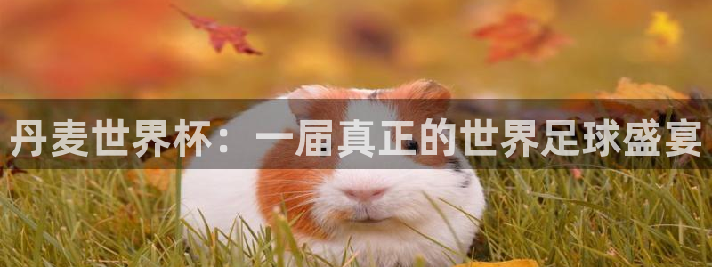 世界杯足球：丹麦世界杯：一届真正的世界足球盛宴