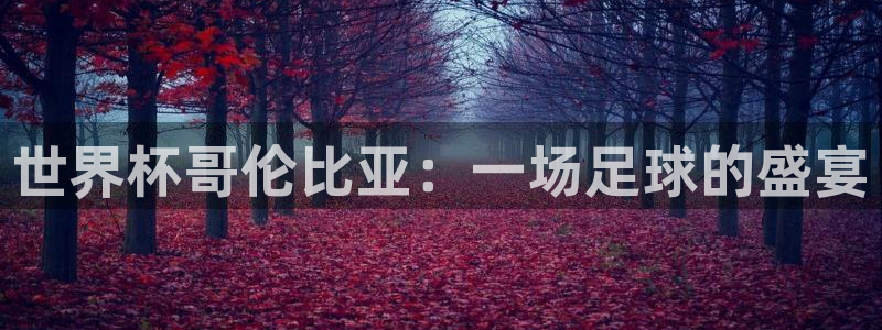 世界杯预选赛排名：世界杯哥伦比亚：一场足球的盛宴
