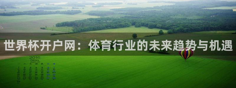 2026世界杯买球：世界杯开户网：体育行业的未来趋势与机遇
