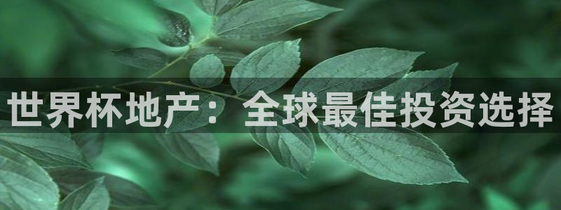 世界杯官网入口：世界杯地产：全球最佳投资选择