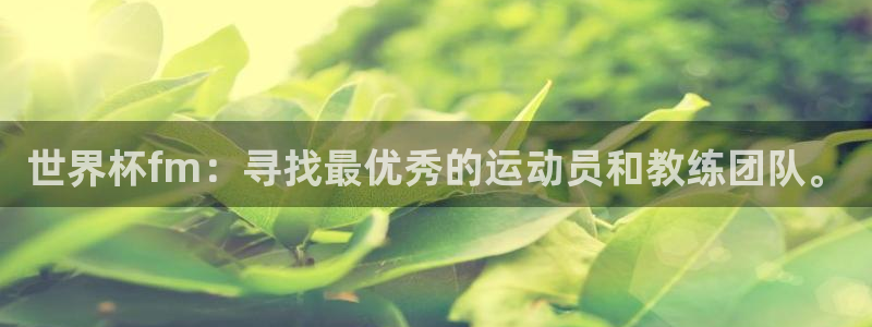 世界杯比赛直播：世界杯fm：寻找最优秀的运动员和教练团队。