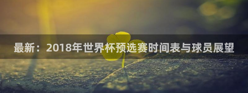 2026世预赛全部赛程：最新：2018年世界杯预选赛时间表与球员展望