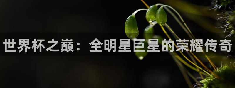 世界杯赛程时间表：世界杯之巅：全明星巨星的荣耀传奇