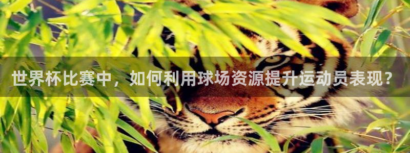 世界杯直播观看：世界杯比赛中，如何利用球场资源提升运动员表现？