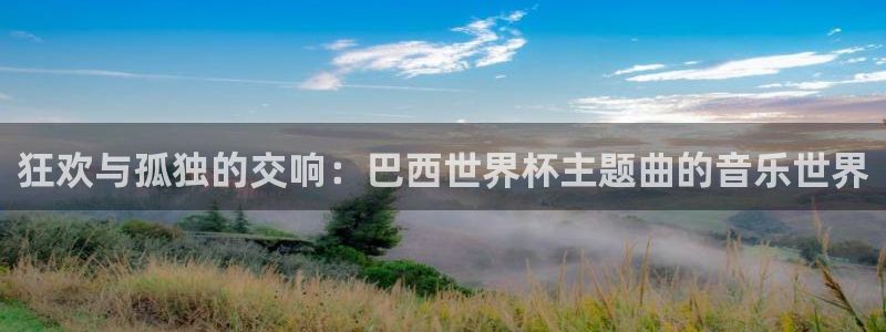 世界杯亚洲区预选赛赛程：狂欢与孤独的交响：巴西世界杯主题曲的音乐世界