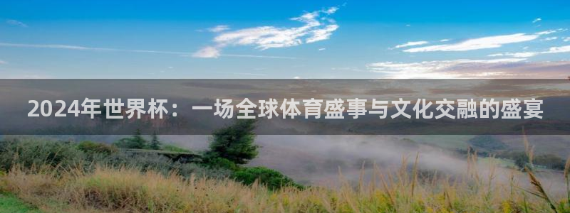 联赛杯直播：2024年世界杯：一场全球体育盛事与文化交融的盛宴