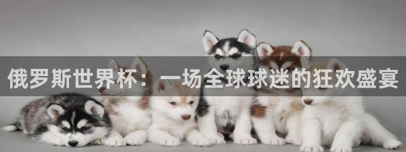 澳门世界杯直播：俄罗斯世界杯：一场全球球迷的狂欢盛宴