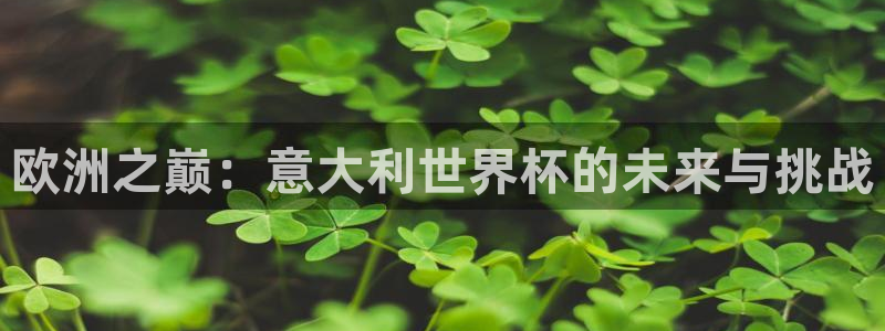 2026年男足世界杯：欧洲之巅：意大利世界杯的未来与挑战